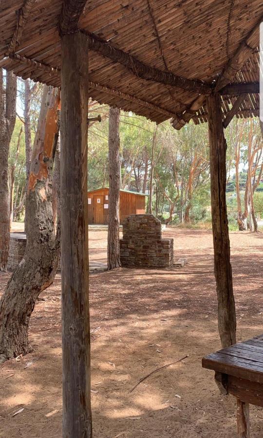 Casa Vacanza "Fortuna" Balestrate Zewnętrze zdjęcie